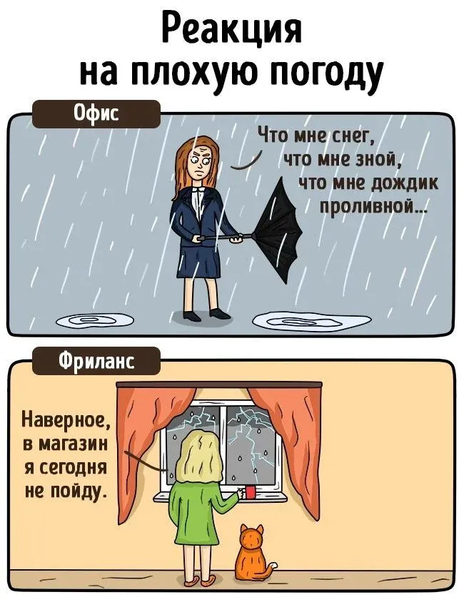 Реакция на плохую погоду