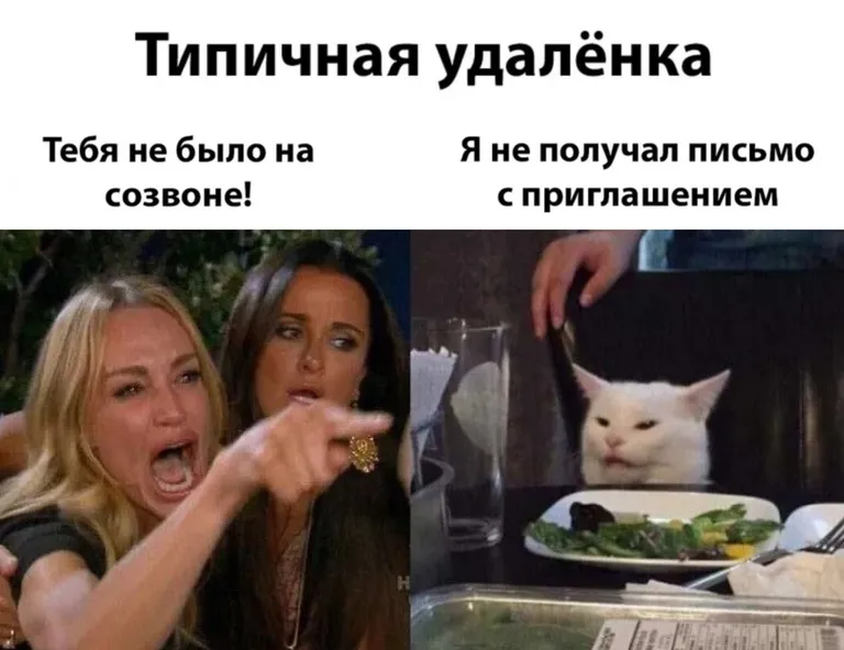 Типичная удалёнка